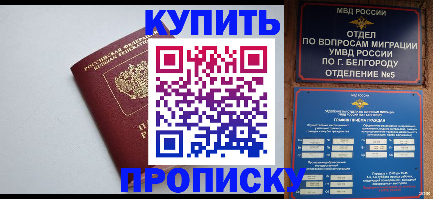 прописка регистрация в Куровском